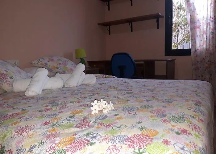 Meu Lar *